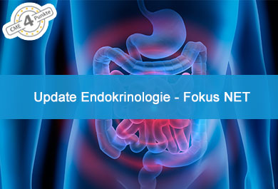 Update Endokrinologie - Fokus NET
