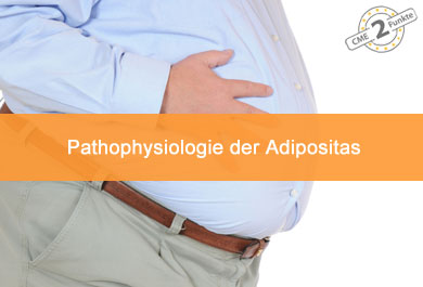 Pathophysiologie der Adipositas