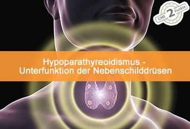 Hypoparathyreoidismus - Unterfunktion der Nebenschilddrüsen