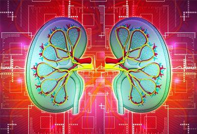 Herausforderung Antikoagulation bei nv Vorhofflimmern, Diabetes und Niereninsuffizienz