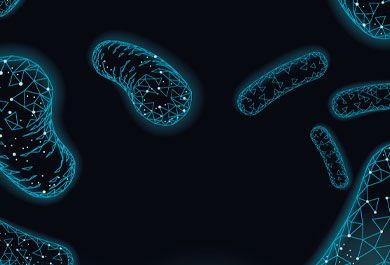 Funktionelle Dyspepsie (Reizmagen): Das Mikrobiom als neuer Therapieansatz?