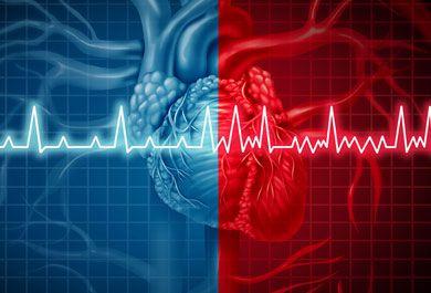 Highlights: EKG-Refresher 2021