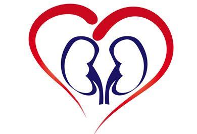 Hyperkaliämie Management – Update 2018