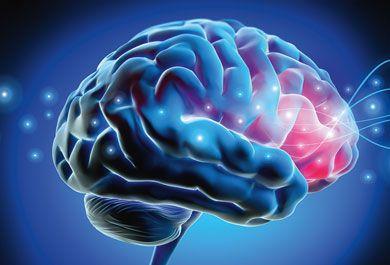 Morbus Parkinson und essenzieller Tremor: Optionen bei unzureichender medikamentöser Therapie