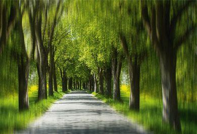 Schwindel: Neues aus Forschung und Praxis