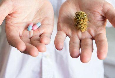 Update Cannabis als Medizin