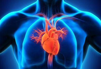 Update Differenzialdiagnostik bei unklarer Dyspnoe