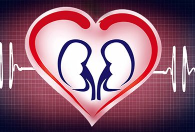 Chronische Nierenerkrankung bei Typ-2-Diabetes – von der Evidenz zur Praxis