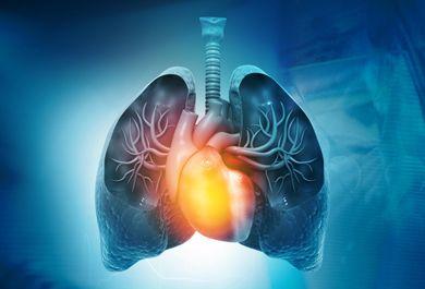 COPD und Herz: Kardiovaskuläre Risiken medikamentös beeinflussen
