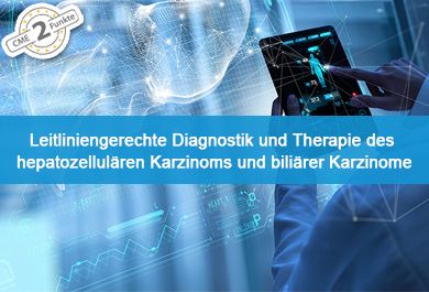 Leitliniengerechte Diagnostik und Therapie des hepatozellulären Karzinoms und biliärer Karzinome