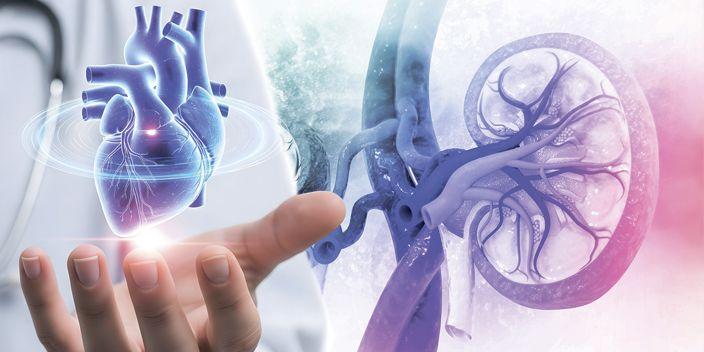 Herz- und Nierenschutz bei Patienten mit Typ-2-Diabetes und Albuminurie