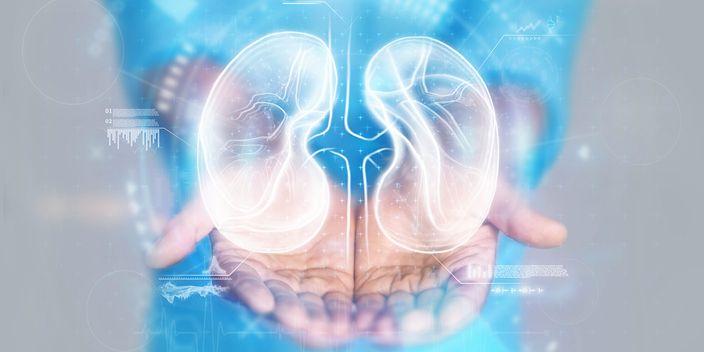 KDIGO-Leitlinien für die IgA-Nephropathie
