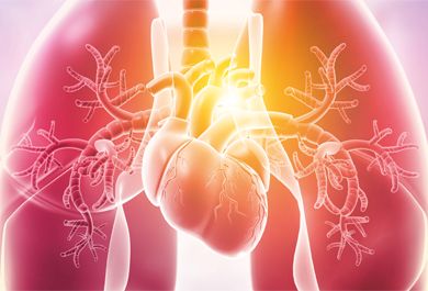 Leitliniengerechte Therapie und neue Entwicklungen in der pulmonal arteriellen Hypertonie