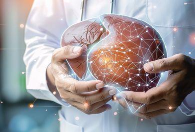 Update Fettleber: Einfluss von Komorbiditäten und neue Therapiemöglichkeiten