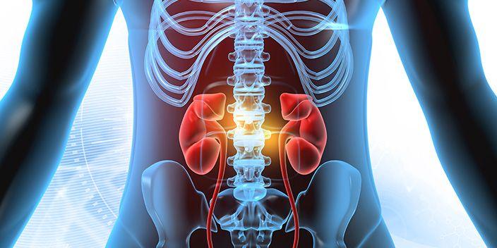 Zwischen Niere und Knochen: Moderne Osteoporosetherapie im nephrologischen Kontext