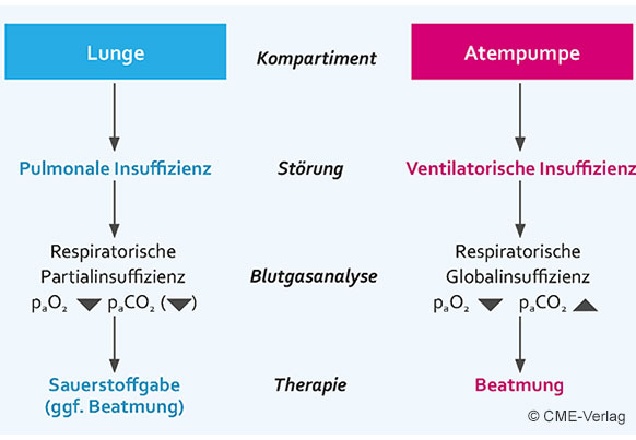 Pathophysiologie des respiratorischen Systems